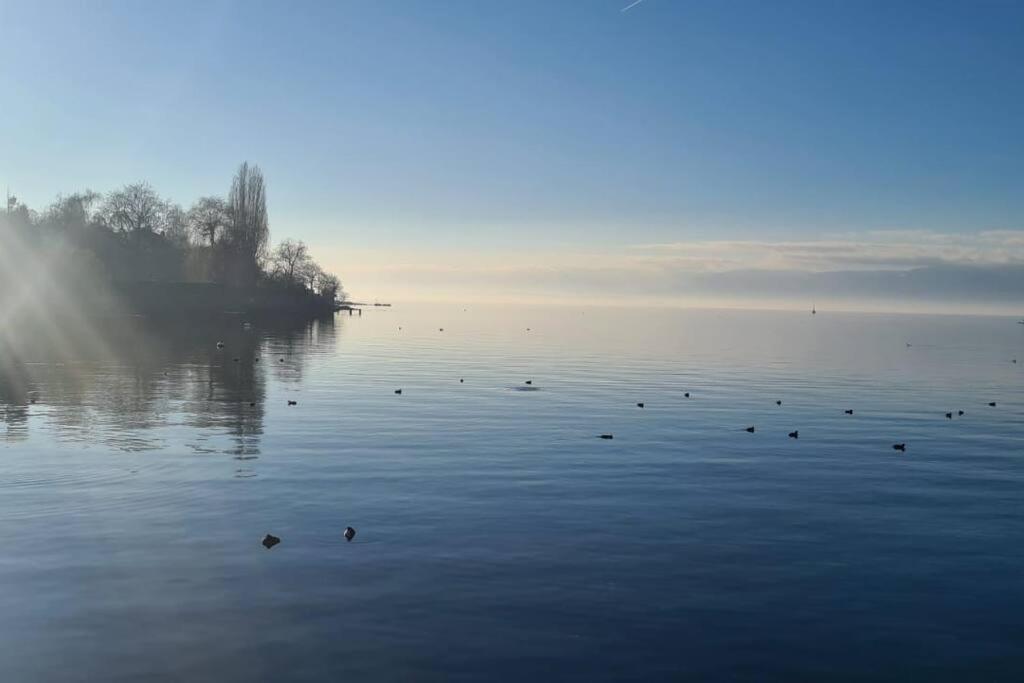 Appartamento Le Duc Thonon-les-Bains Esterno foto